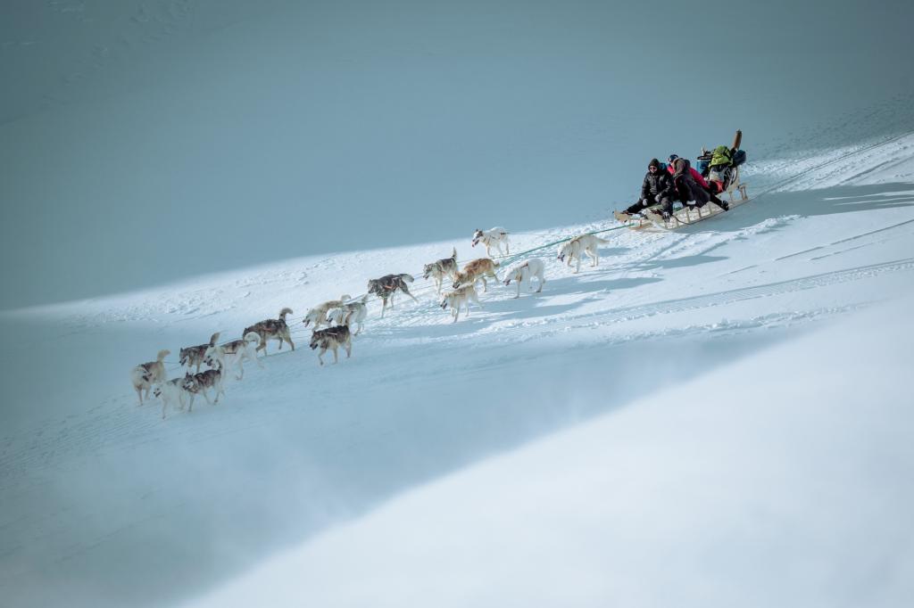 Dog sledding downhill in East Greenland